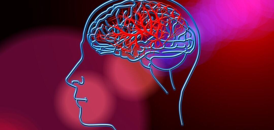 NUTRIZIONE, NEURODEGENERAZIONE E MALATTIE CEREBROVASCOLARI – Catanzaro (CZ) 17/18 Ottobre 2025