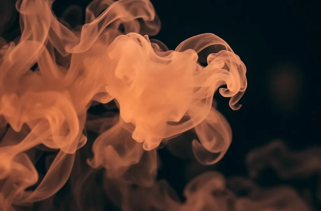 IL FATTORE DI RISCHIO FUMO E CONSEGUENZE SULL’ORGANISMO UMANO. COMBATTERE LA DIFFUSIONE, INTERVENIRE SULLA DIPENDENZA E DIAGNOSTICARE PRECOCEMENTE I DANNI. – FAD 23 Giugno 2025
